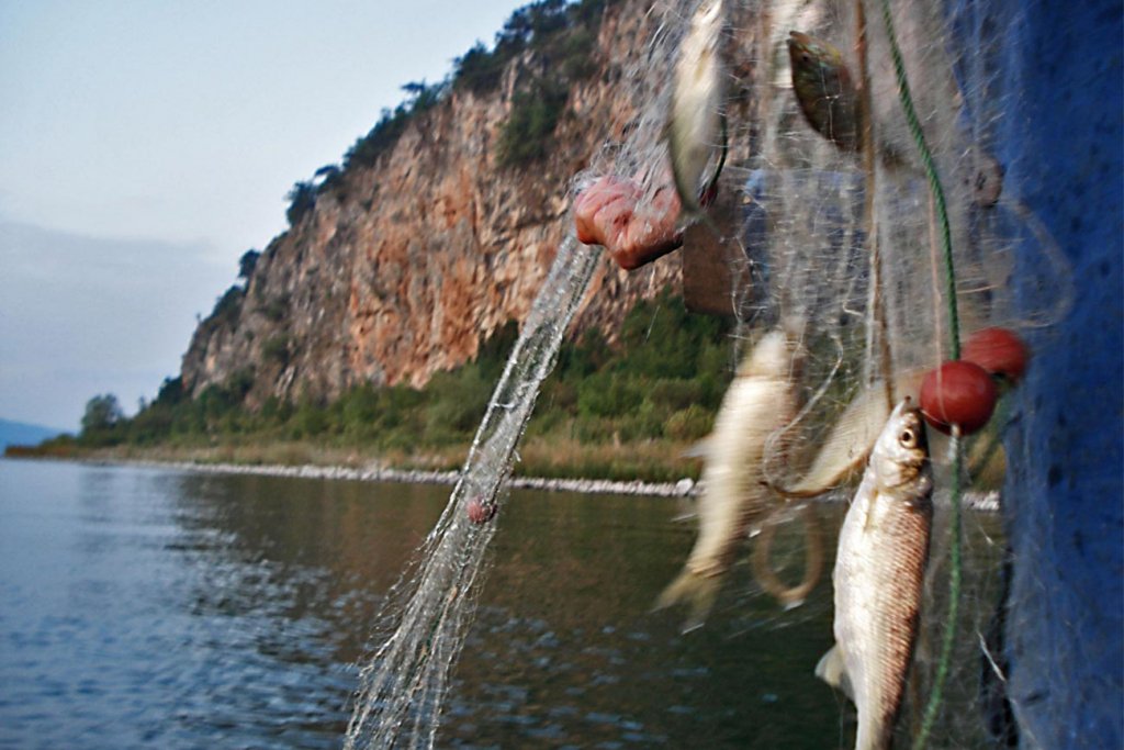 Prespes. Net fishing.