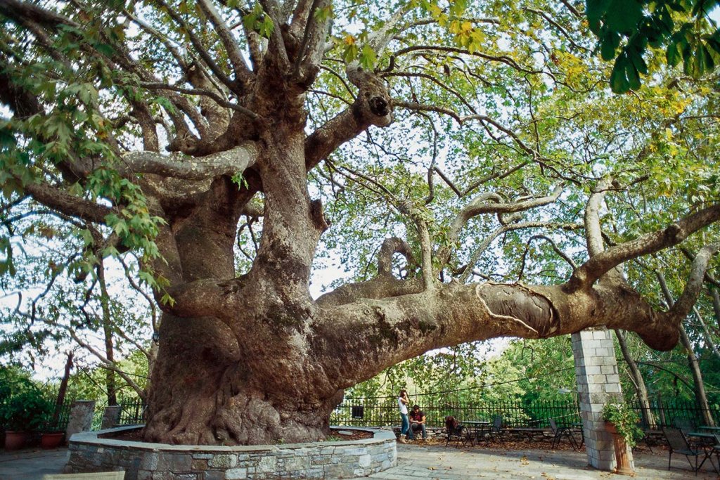 Pelion Tsagarada ©GNTO Photo Y Skoulas