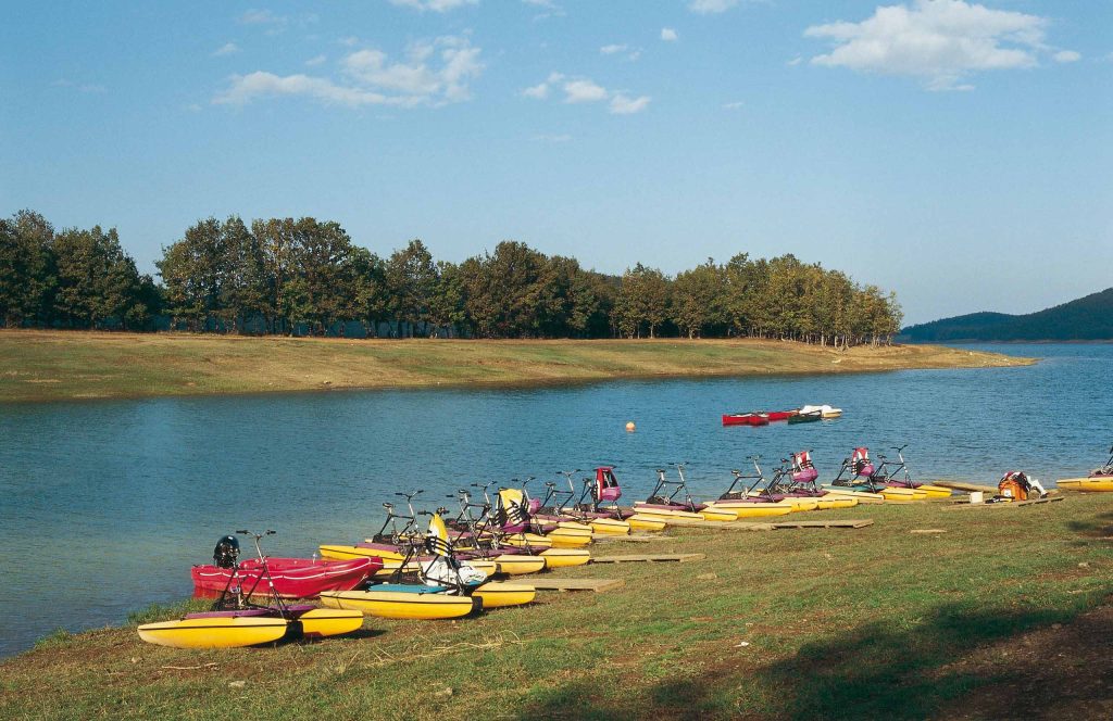 Yellow and red canoes and pedal boats lined up on a grassy lake shore, with trees on the far bank