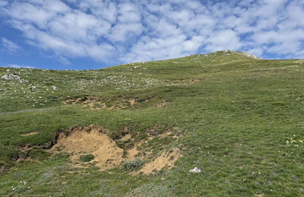 Open mountain grassland rising gently towards the summit of Mount Tymfristos