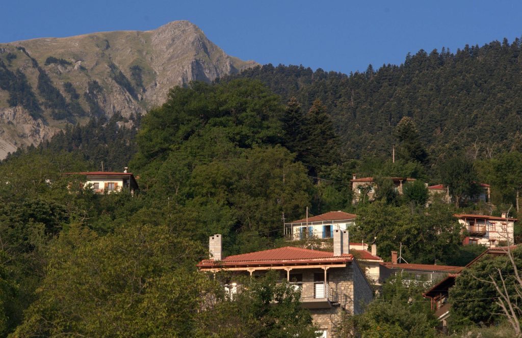 Houses with tiled roofs among fir trees in the village of Mavrilo, with a rocky peak behind