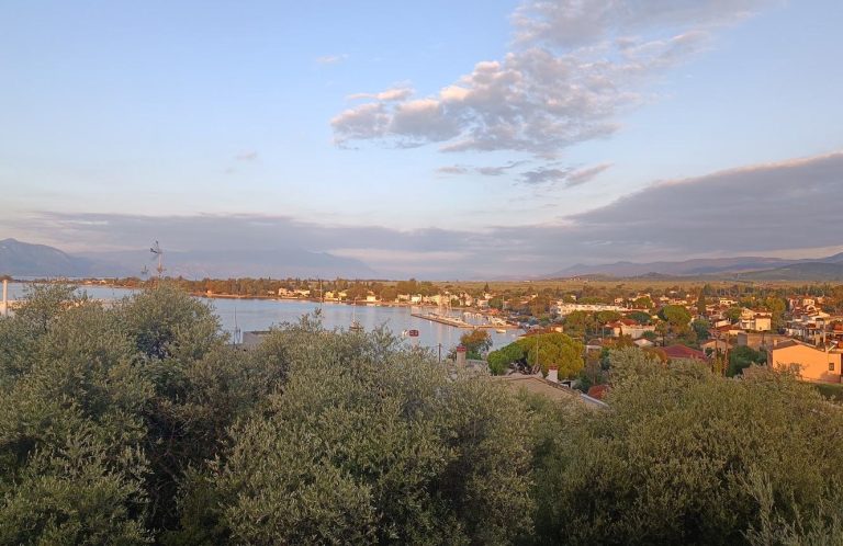 Seaside village of Raches along a curved bay with a small harbour, seen from a hill above the trees