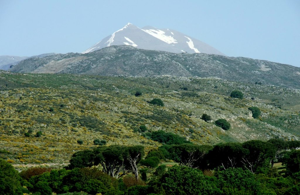 Snow-capped summit of Mount Ida rising above green and rocky slopes