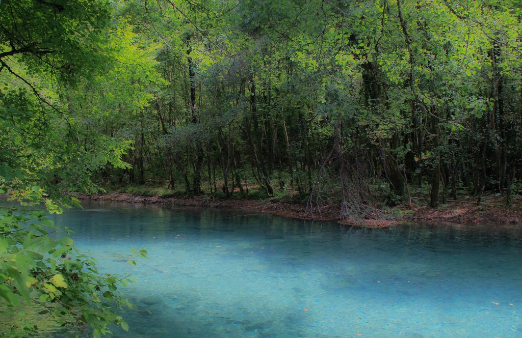 Clear blue-green river water below the trees of a forested bank