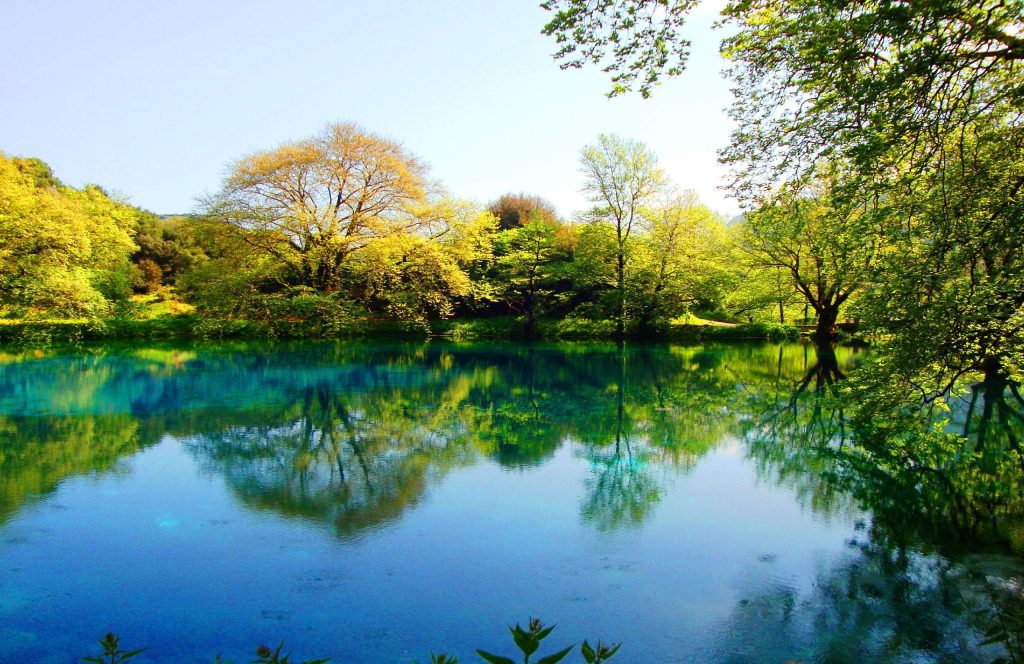 Clear blue-green pool reflecting the trees around it, with branches hanging over the water on the right