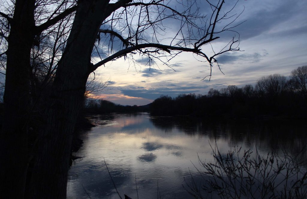 Wide calm river under a cloudy sky, framed by the dark trunk and bare branches of a tree