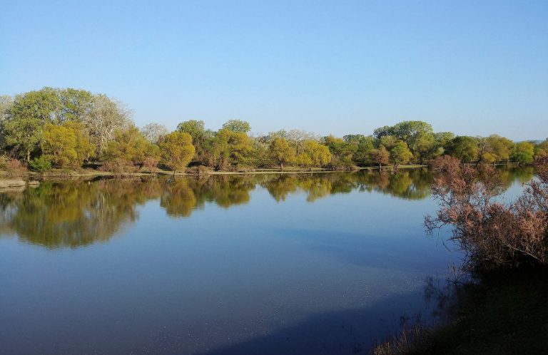 Calm water reflecting a line of trees in autumn colours, under a blue sky