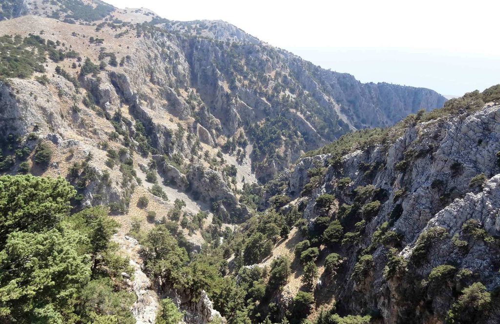 Gorge with grey rocky slopes and scattered trees, seen from above