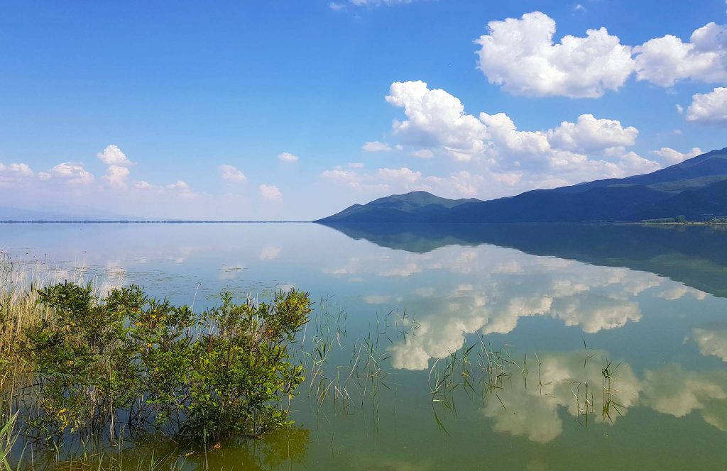 Still lake reflecting white clouds, with reeds in front and a mountain ridge behind