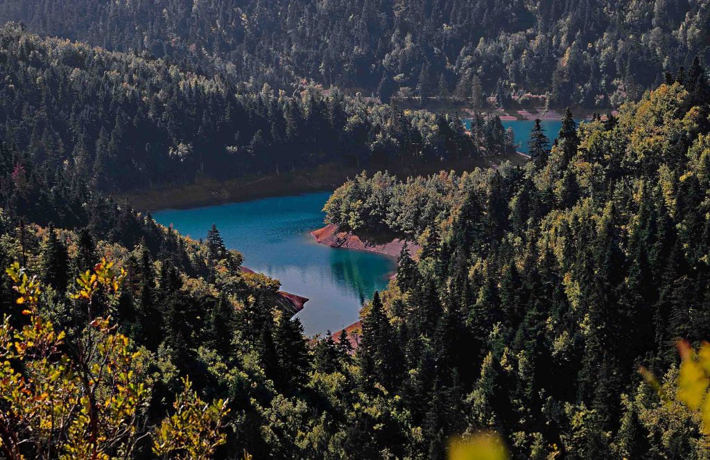 Blue-green arm of a lake seen from above, between slopes covered in fir forest