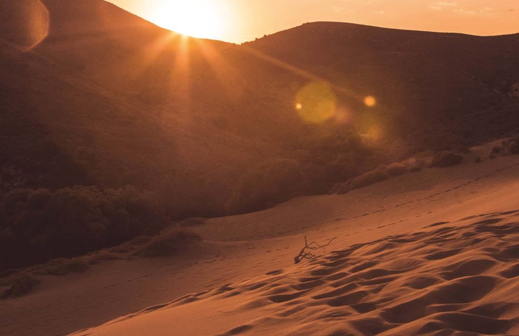 Lemnos' small desert, Ammothines.