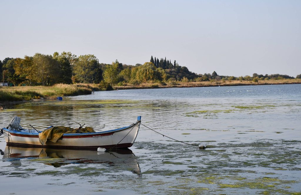 Small wooden boat moored in shallow water with floating weed, with reeds and trees along the far shore