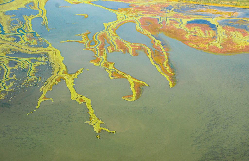 Aerial view of shallow water with branching channels and mud banks in yellow, green and orange