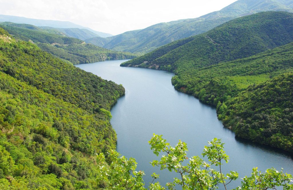 River winding through a deep valley between steep slopes covered with dense green forest, with leaves in the foreground
