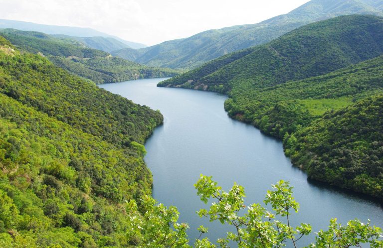 River winding through a deep valley between steep slopes covered with dense green forest, with leaves in the foreground