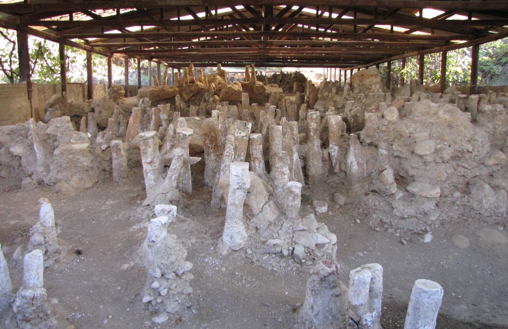 Rows of pale wooden posts set in the ground under a metal protective roof
