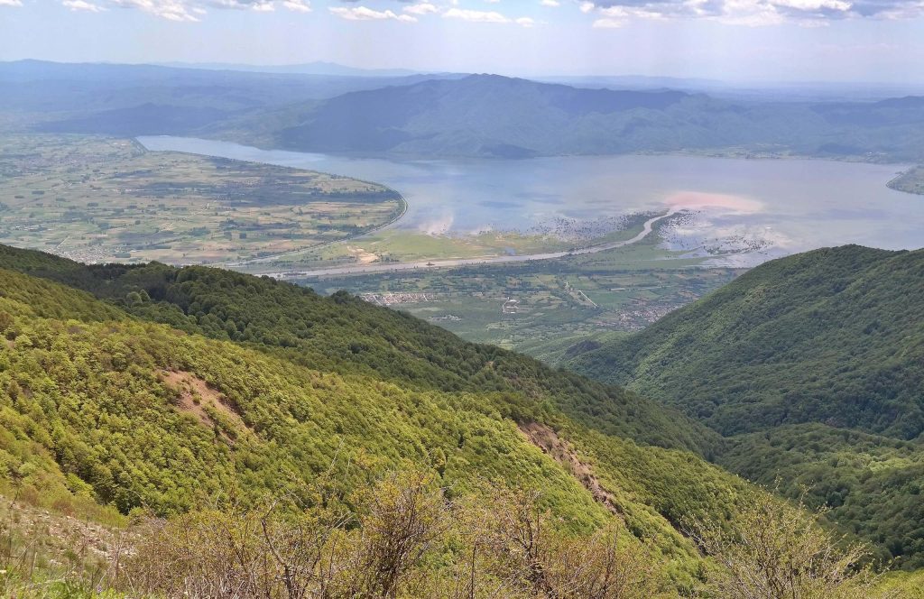 View from forested hills over a plain where a river flows into a large lake, with mountains beyond