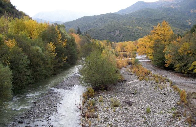 Wide gravel riverbed with a shallow stream, between trees in autumn colours and green mountains
