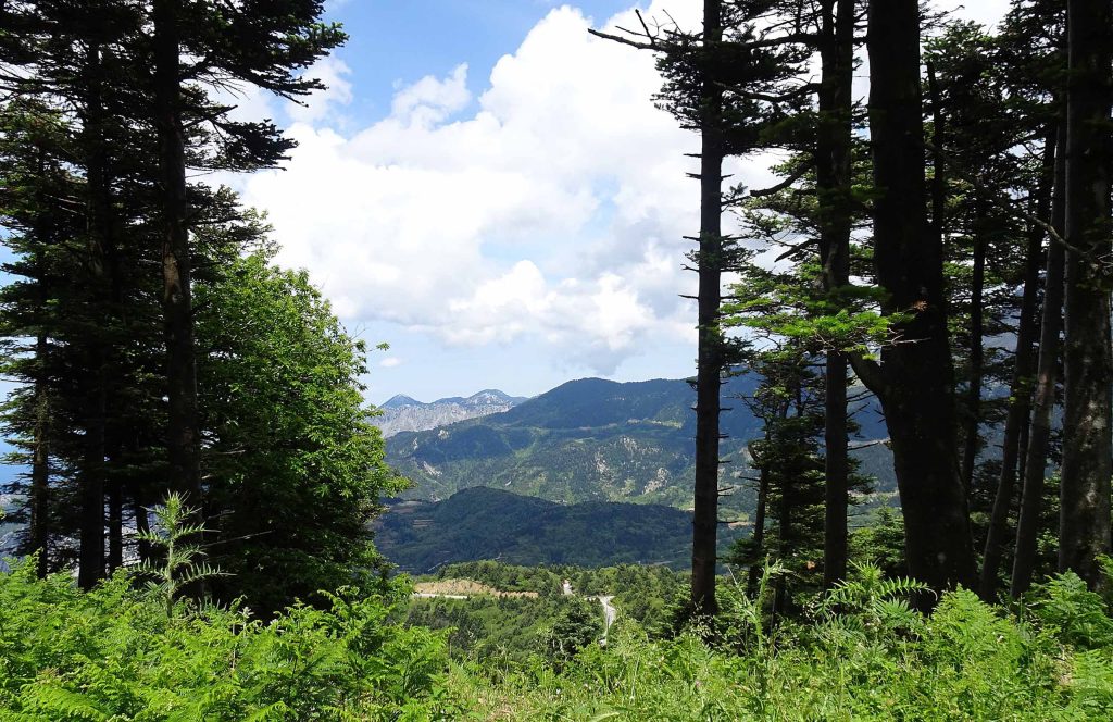 Mount Dirfys, Evia.