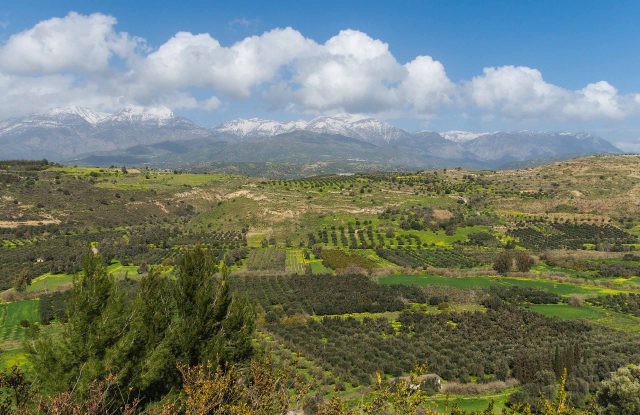 Snow-capped Mount Ida behind the green fields and olive groves of the Messara plain