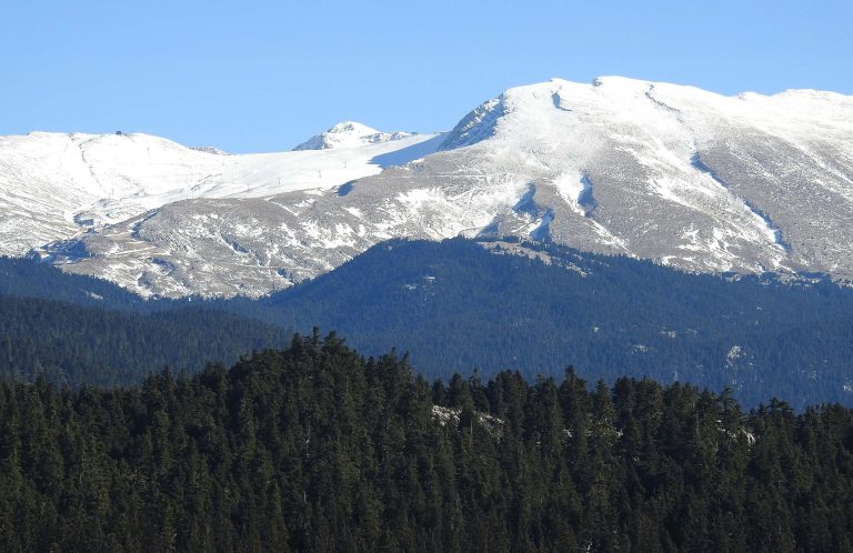 Snow-covered peaks and slopes of Mount Parnassus rising above a dark fir forest