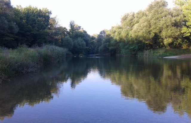 Calm river reflecting the trees on both banks, with reeds along the left bank