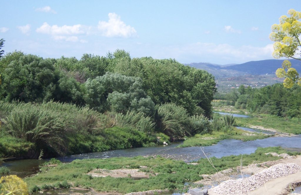 Shallow river flowing past thick riverside trees and reeds, with gravel banks and hills in the distance