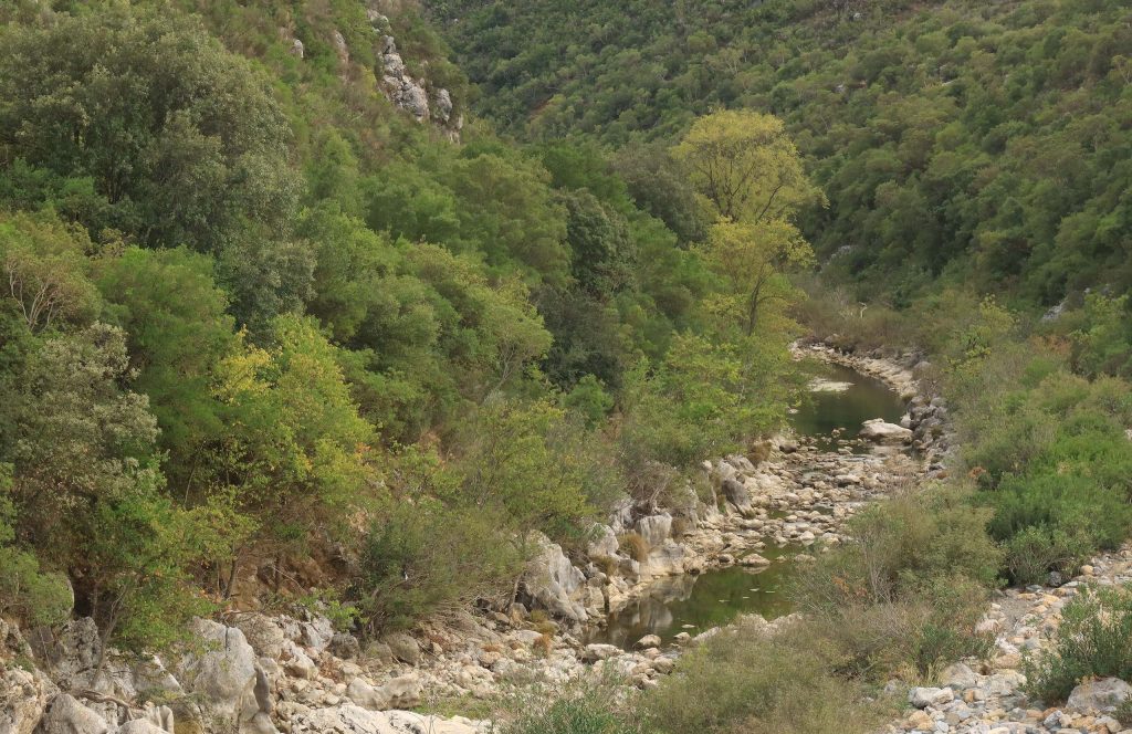 Rocky riverbed with small pools of water at the bottom of steep green slopes covered with trees and shrubs