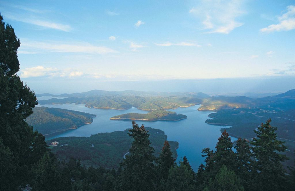 Lake with wooded islands and peninsulas seen from a hill, with fir trees in the foreground