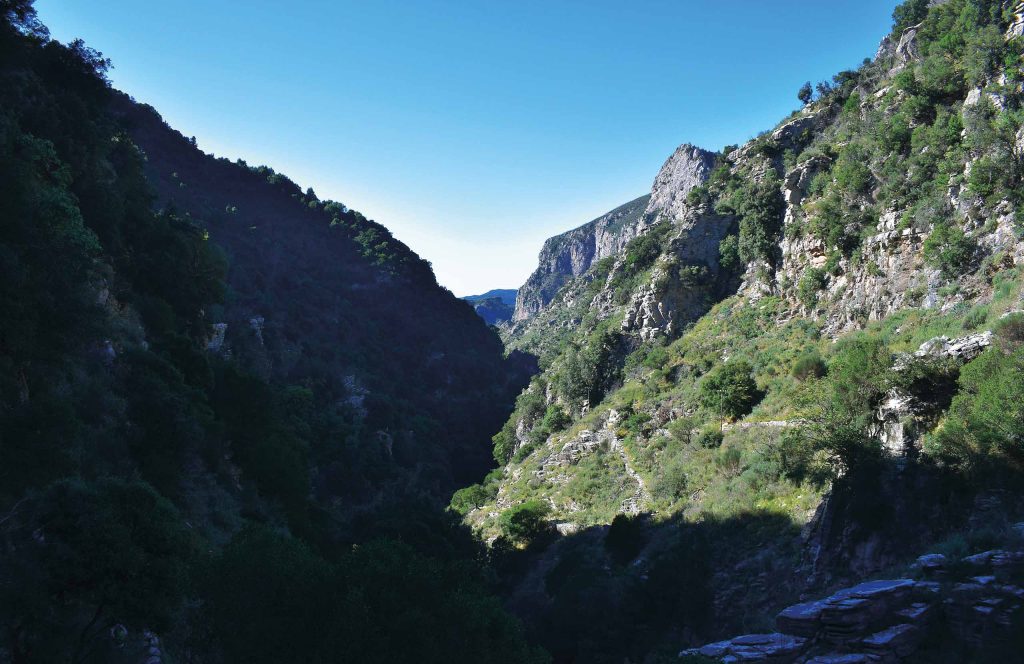 Deep gorge between steep rocky slopes with trees, one side in shadow
