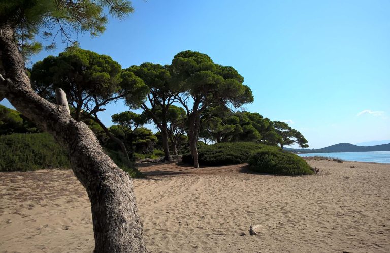 Schinias has some of most pristine beaches in the Attica region