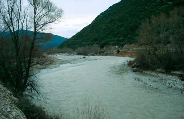 Pale green river with gravel banks below a green hill, with bare trees on the left