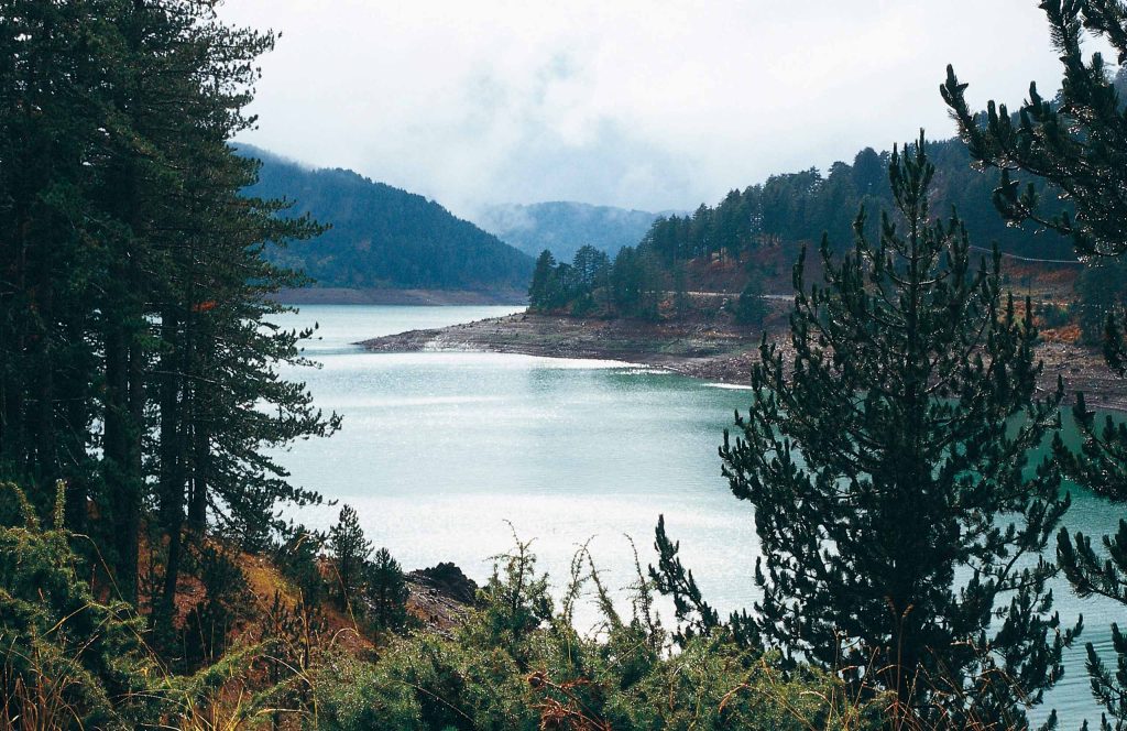 Lake with pine trees in front and forested hills behind
