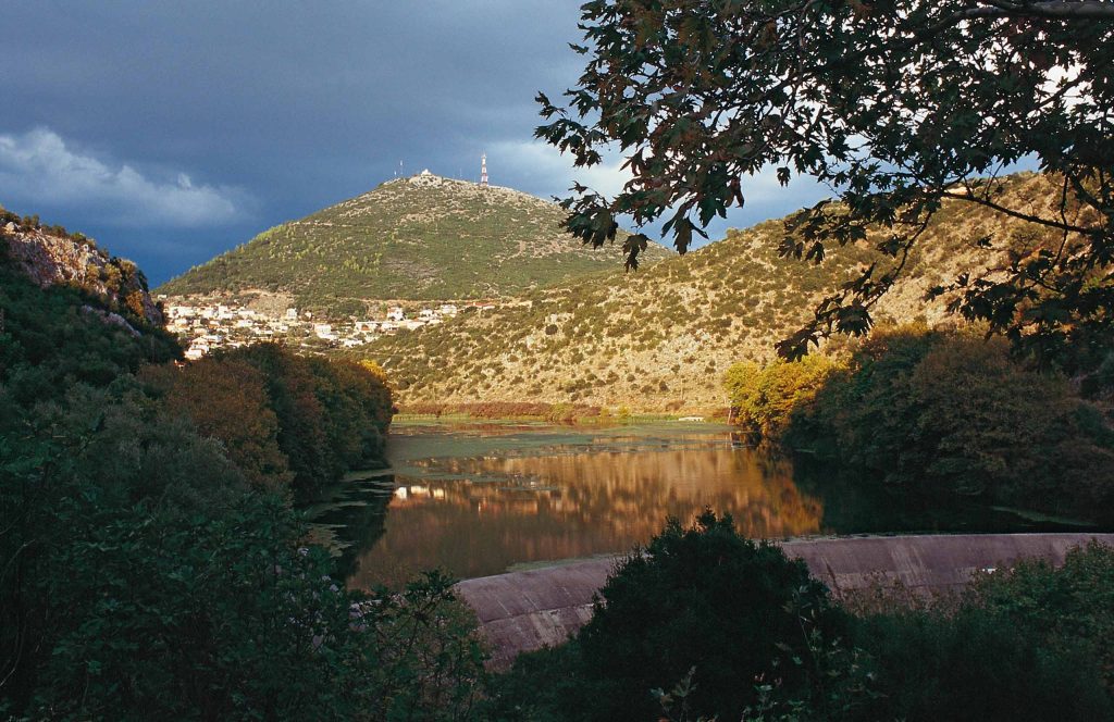 Small reservoir with reeds below a bare rocky hill, seen between trees