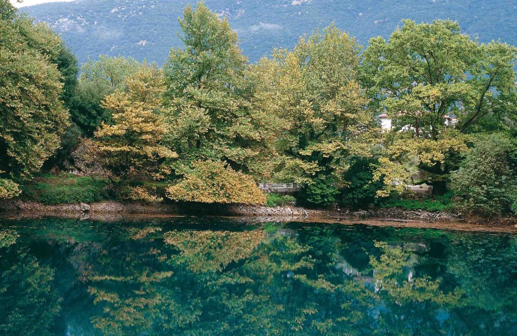 Deep blue-green pool reflecting the trees on its bank