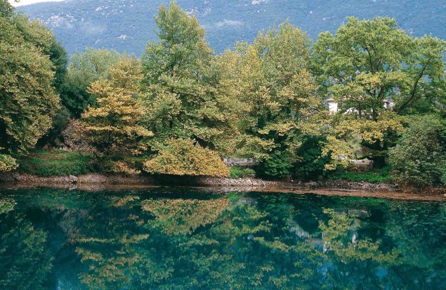 Deep blue-green pool reflecting the trees on its bank