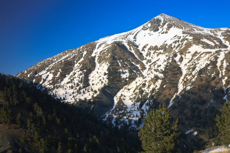 The snow-streaked summit of Mount Smolikas above dark pine forest under a deep blue sky