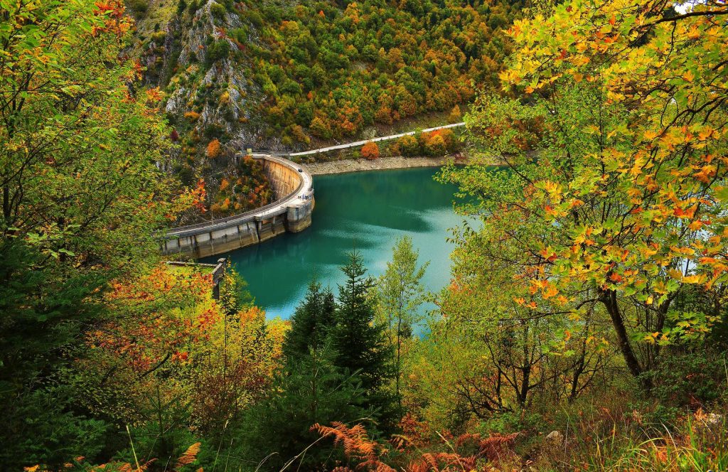 Curved dam wall and green water seen through trees with yellow and orange leaves