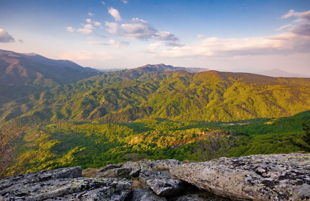 View of Lailia forest