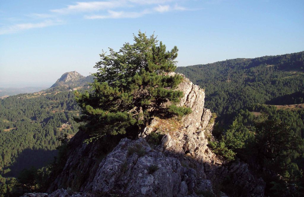 View of Mesolouri area, Grevena.