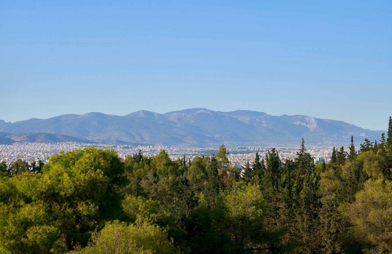 Long mountain ridge seen across a wide plain, with green pine trees in the foreground