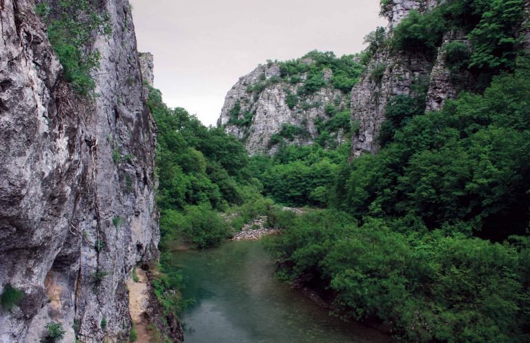 Green river flowing between high grey cliffs and dense trees, with more cliffs in the distance