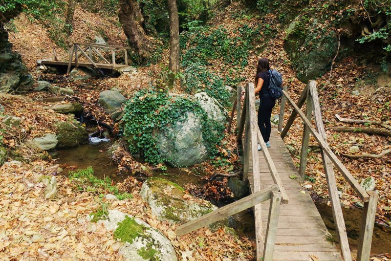 Pelion central Portaria Kendavri2